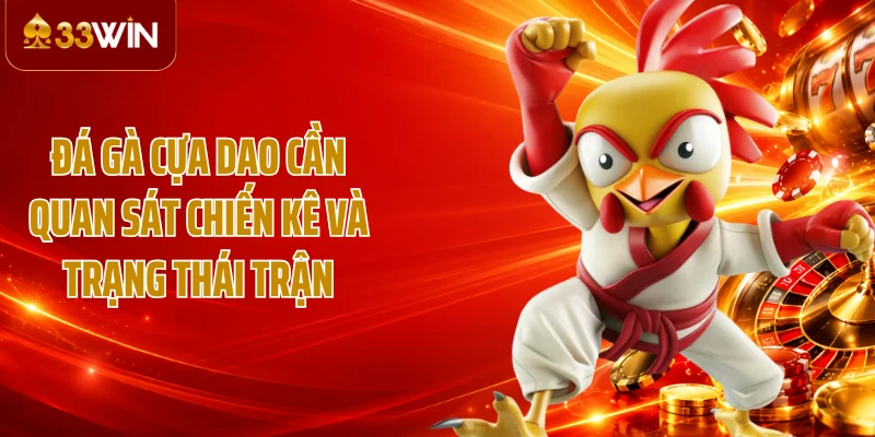 Đá gà cựa dao cần quan sát chiến kê và trạng thái trận