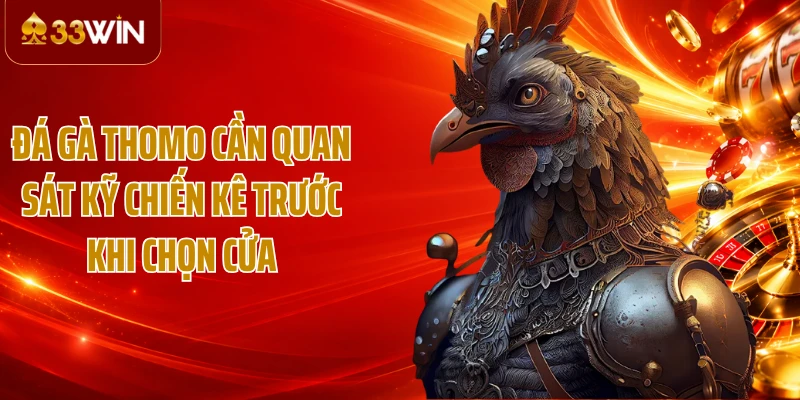 Đá gà Thomo cần quan sát kỹ chiến kê trước khi chọn cửa